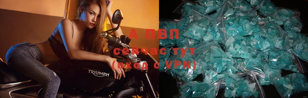 тгк Абинск
