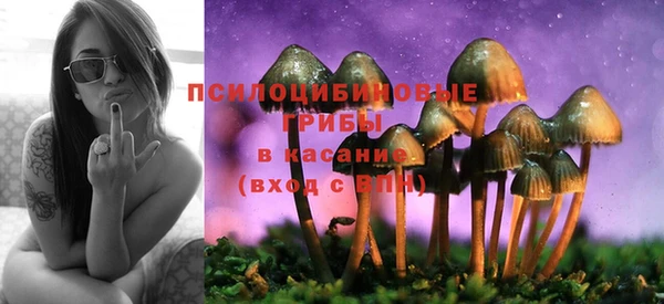 мяу мяу мука Абдулино